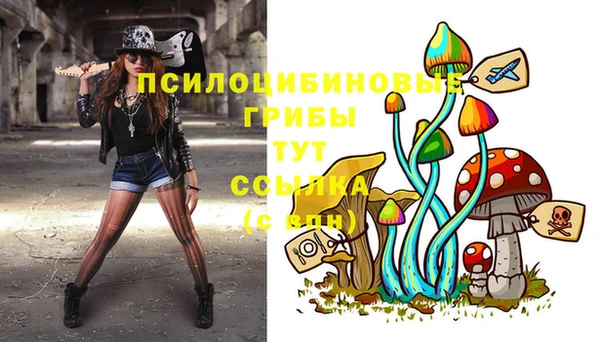 мяу мяу мука Баксан