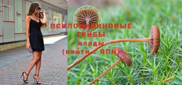 мяу мяу мука Баксан