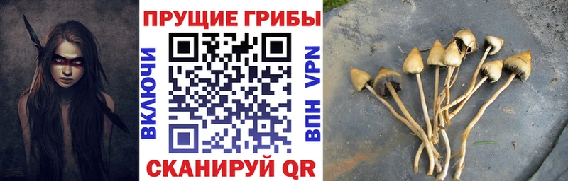 Галлюциногенные грибы прущие грибы  блэк спрут tor  Волчанск 