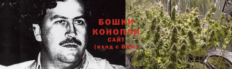 наркошоп  Волчанск  Канабис SATIVA & INDICA 